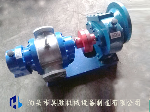  LC不銹鋼羅茨泵